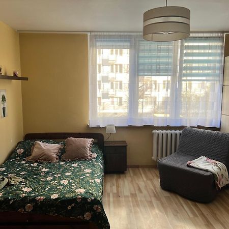 Kawalerka W Samym Sercu Warszawy-Muranow Smart Tv 40, Free Wi-Fi, Netflix Varšava Exteriér fotografie